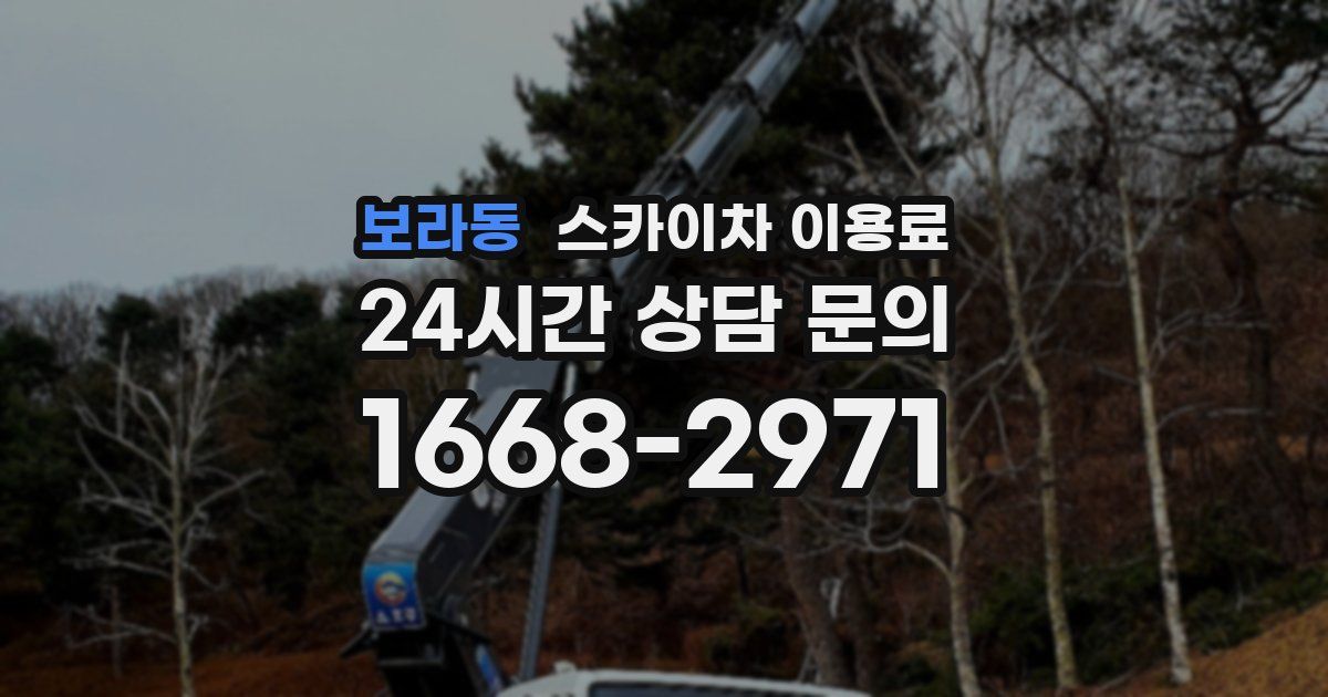 보라동 스카이차 이용료
