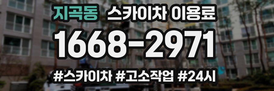지곡동 스카이차 이용료
