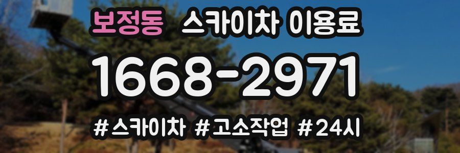 보정동 스카이차 이용료