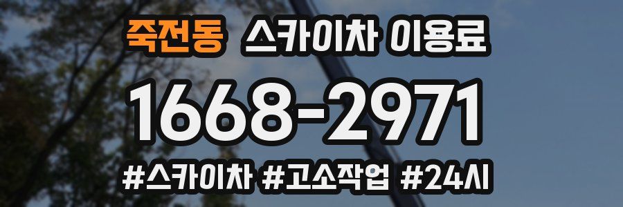 죽전동 스카이차 이용료