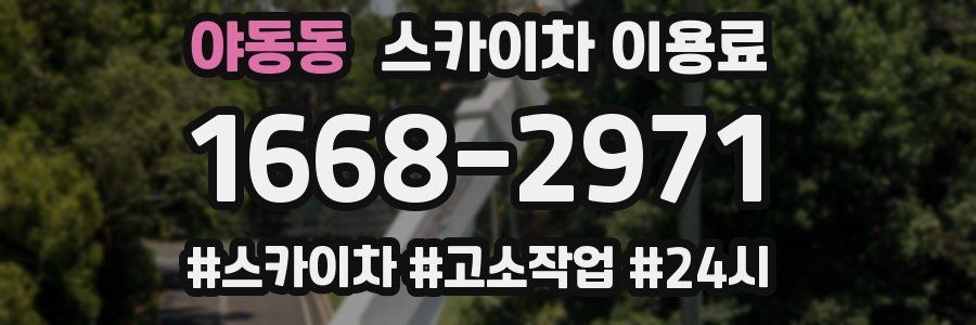 야동동 스카이차 이용료
