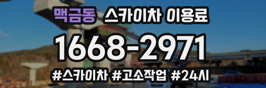 맥금동 스카이차 이용료