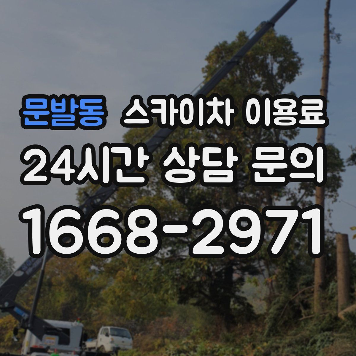 문발동 스카이차 이용료