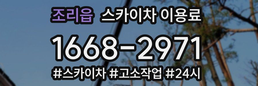 조리읍 스카이차 이용료