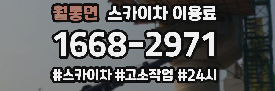 월롱면 스카이차 이용료