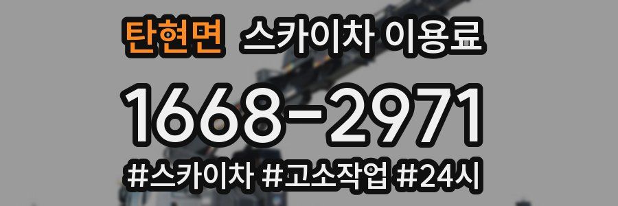 탄현면 스카이차 이용료