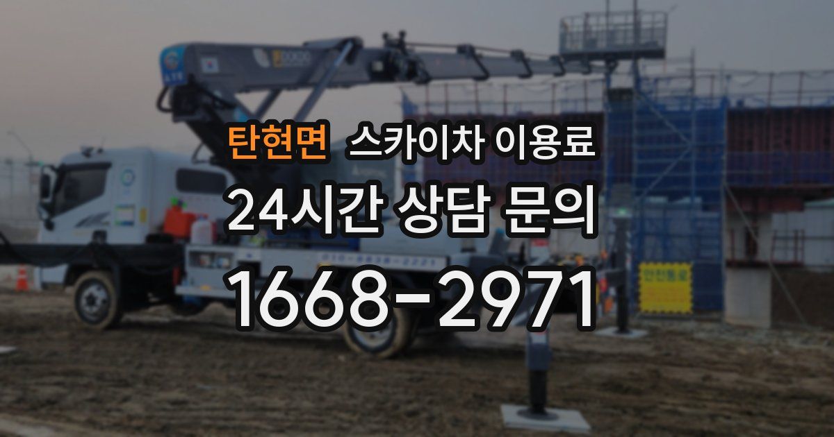 탄현면 스카이차 이용료