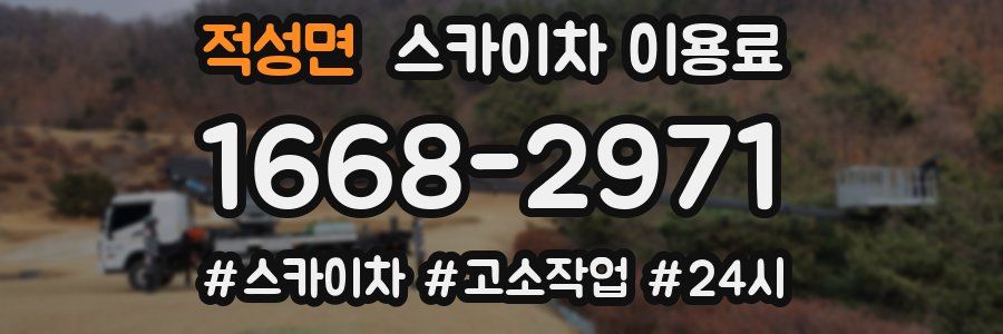 적성면 스카이차 이용료