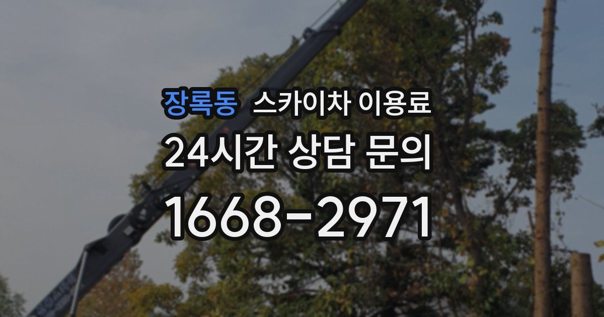 장록동 스카이차 이용료
