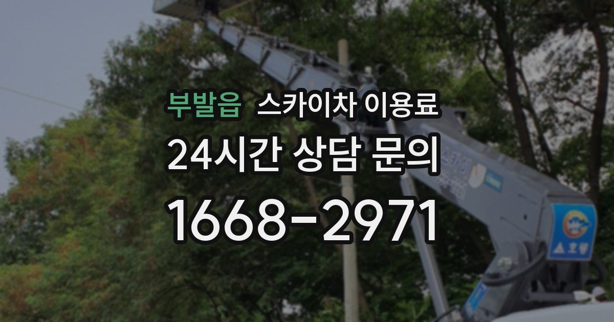 부발읍 스카이차 이용료