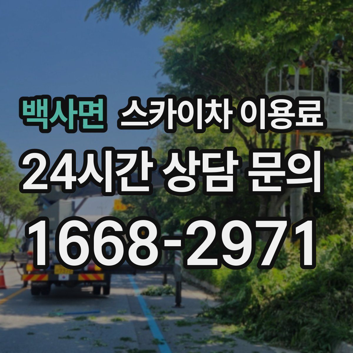 백사면 스카이차 이용료