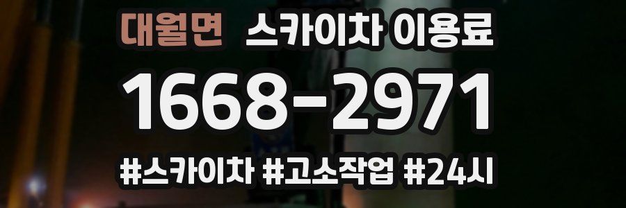 대월면 스카이차 이용료