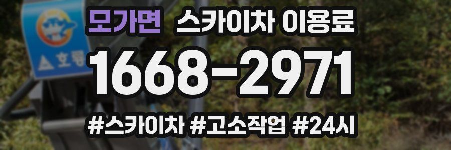 모가면 스카이차 이용료