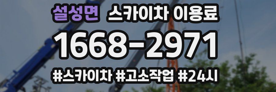 설성면 스카이차 이용료