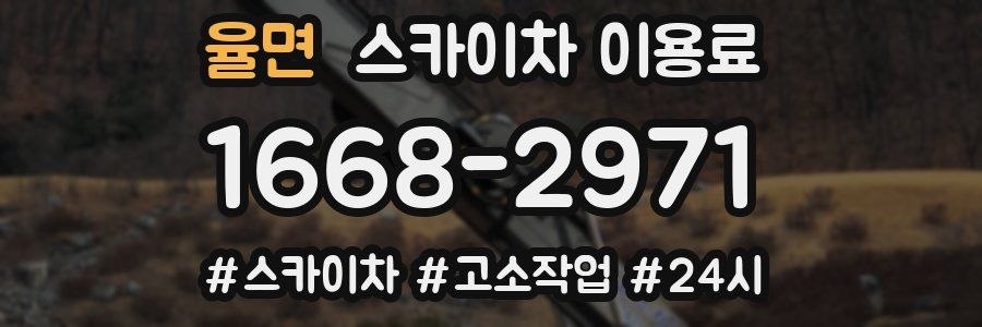 율면 스카이차 이용료