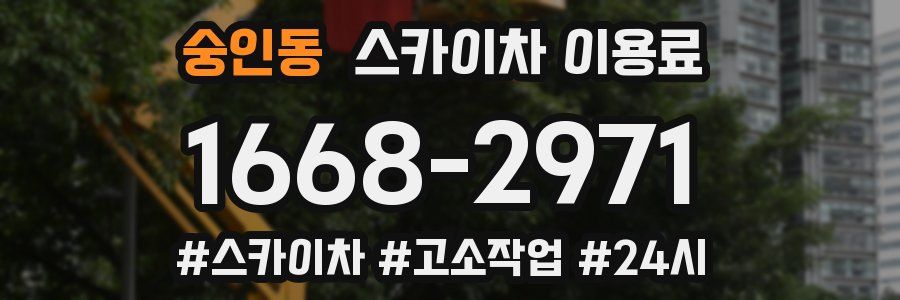 숭인동 스카이차 이용료