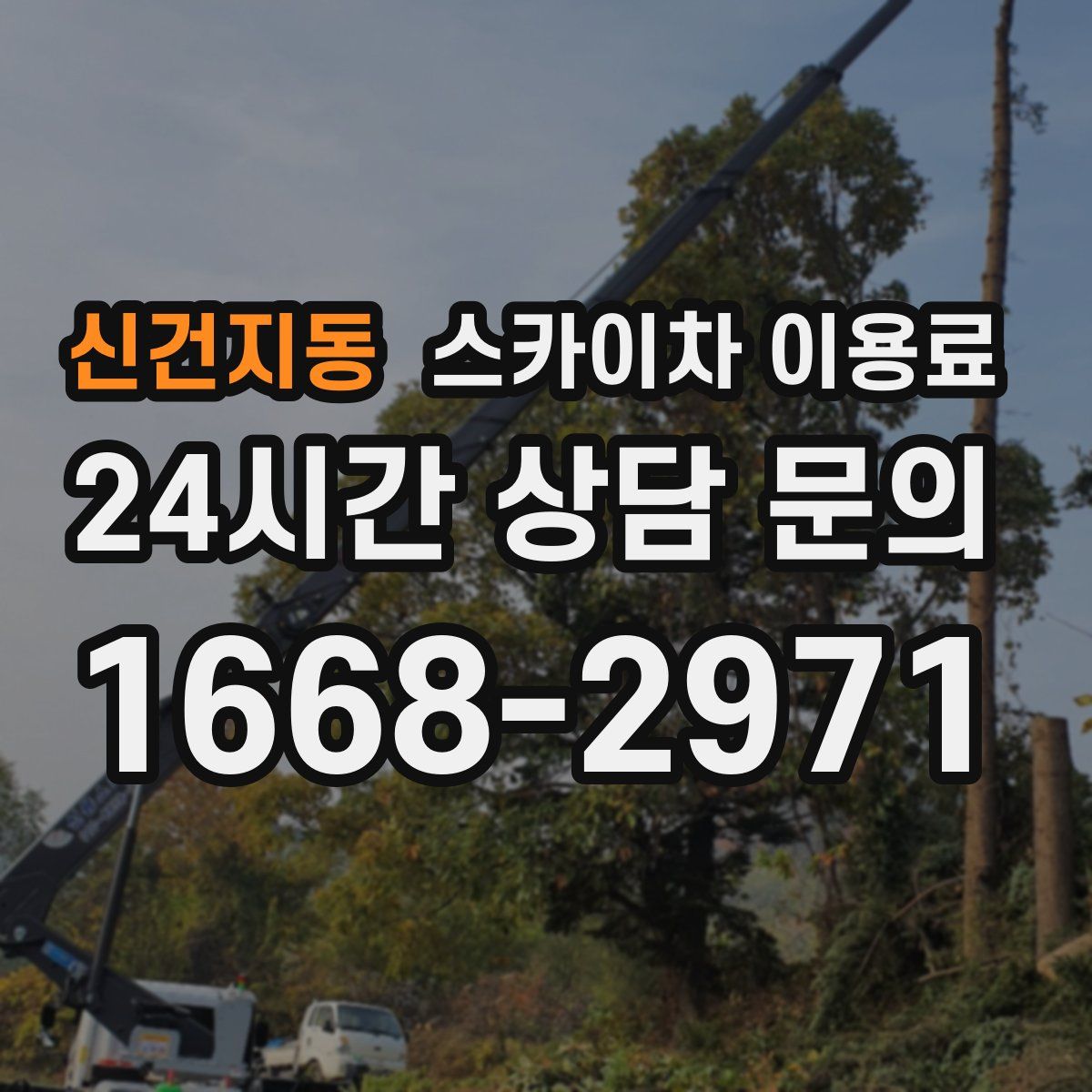 신건지동 스카이차 이용료
