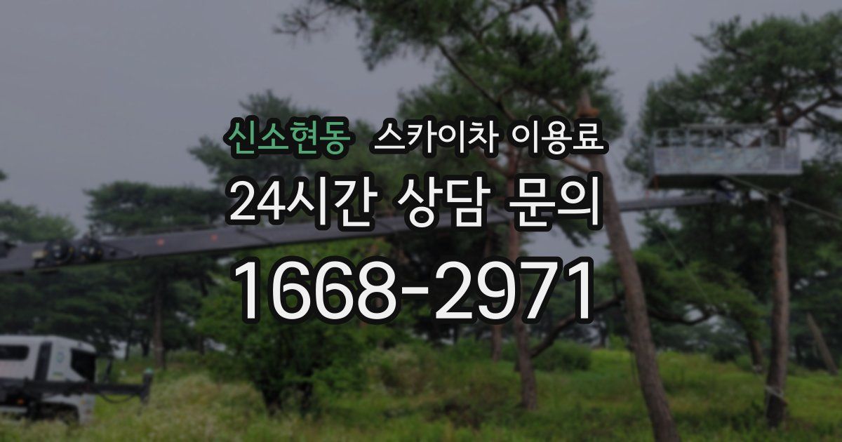 신소현동 스카이차 이용료