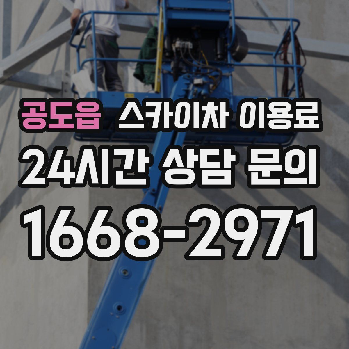 공도읍 스카이차 이용료