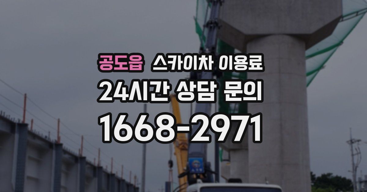 공도읍 스카이차 이용료