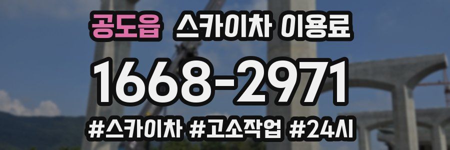 공도읍 스카이차 이용료