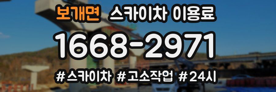 보개면 스카이차 이용료