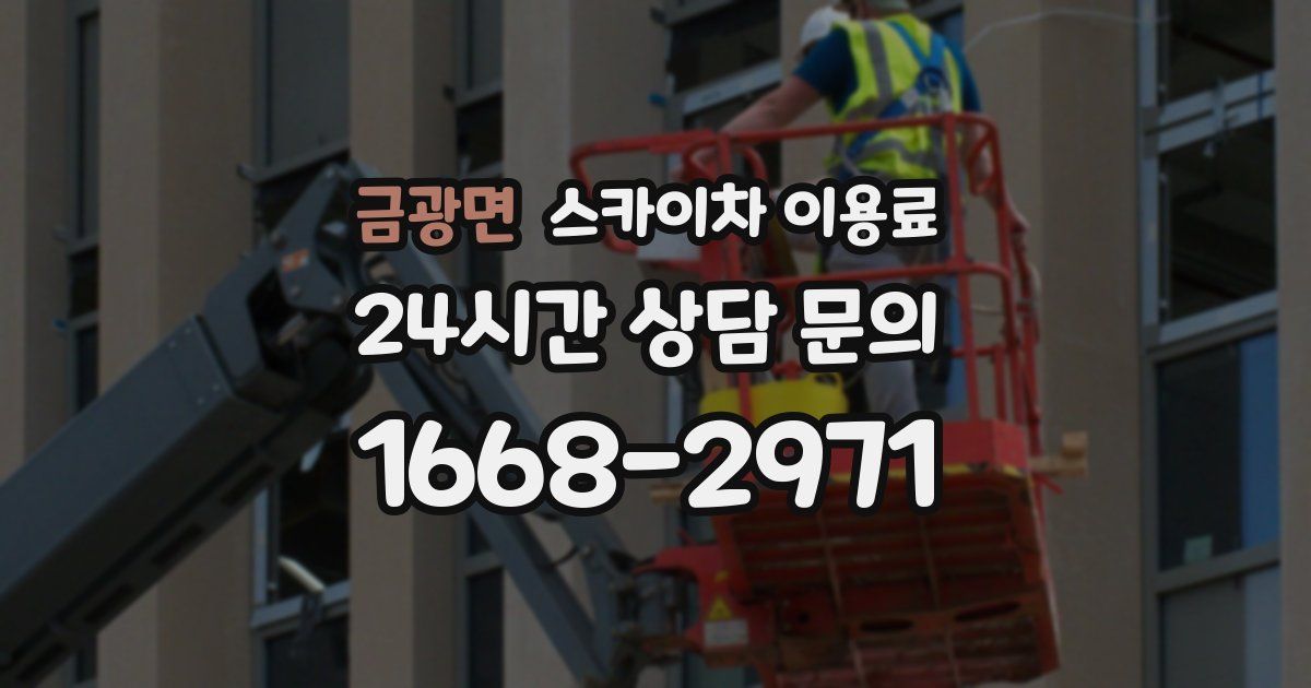 금광면 스카이차 이용료