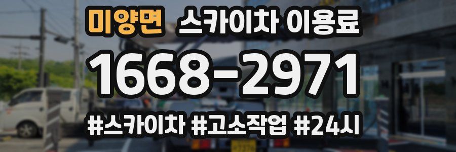 미양면 스카이차 이용료