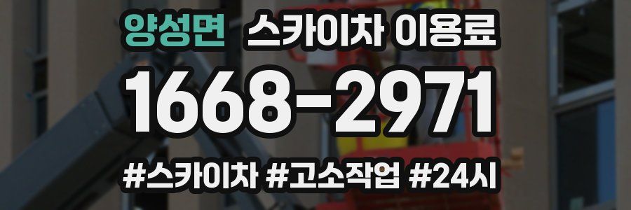 양성면 스카이차 이용료