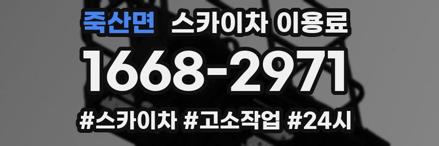 죽산면 스카이차 이용료