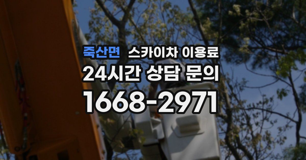 죽산면 스카이차 이용료