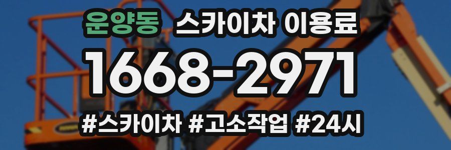 운양동 스카이차 이용료
