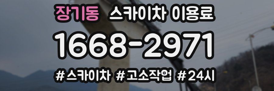 장기동 스카이차 이용료
