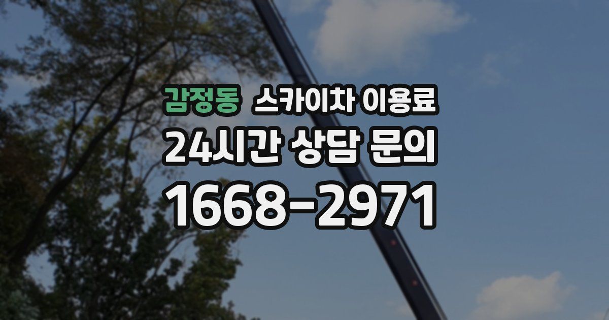 감정동 스카이차 이용료