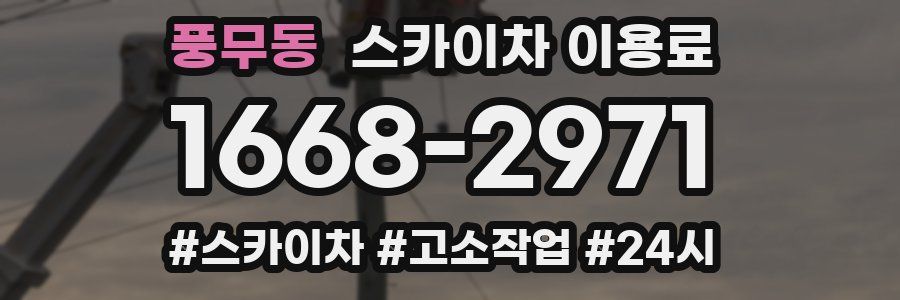 풍무동 스카이차 이용료