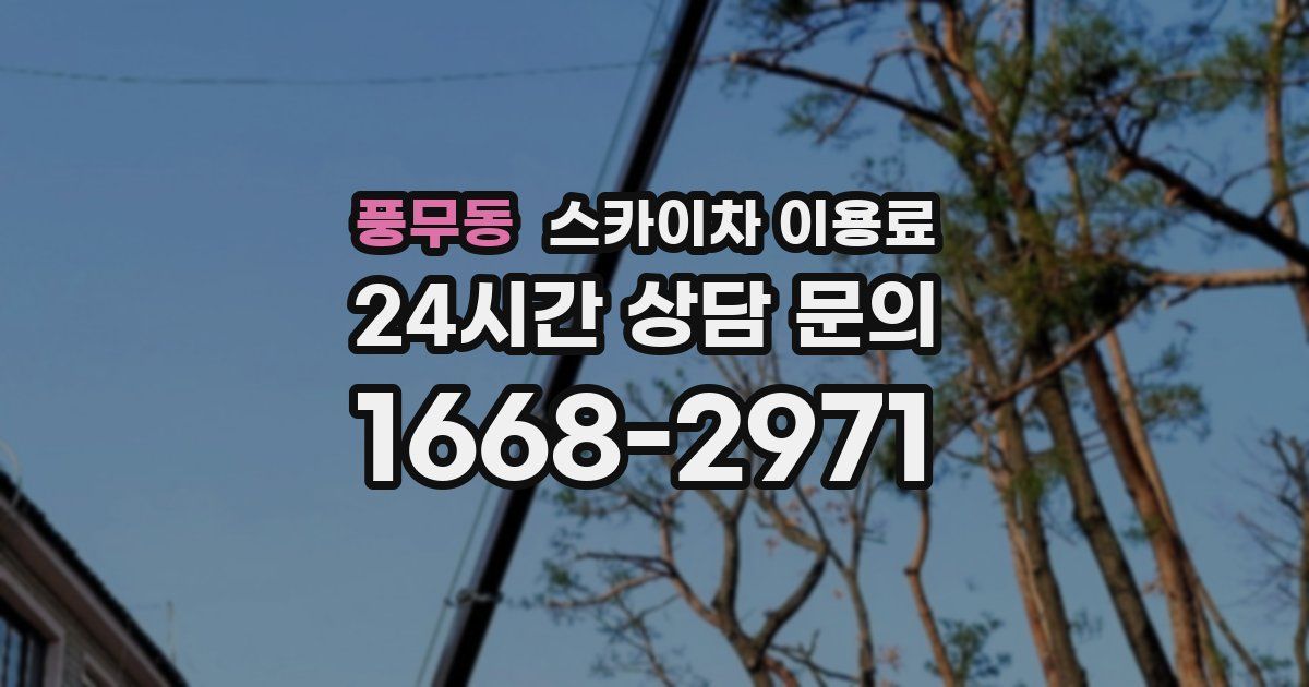 풍무동 스카이차 이용료