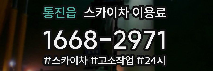 통진읍 스카이차 이용료