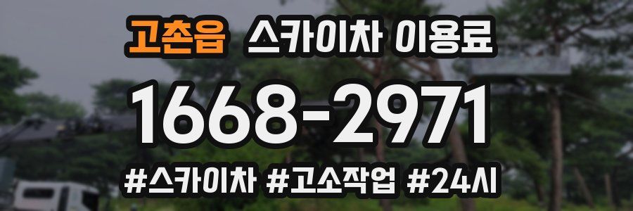 고촌읍 스카이차 이용료