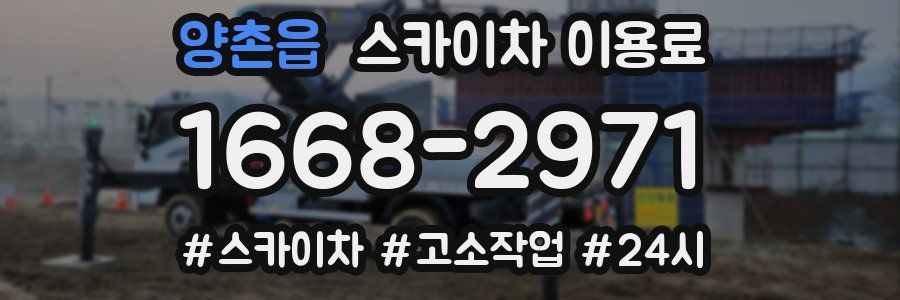 양촌읍 스카이차 이용료