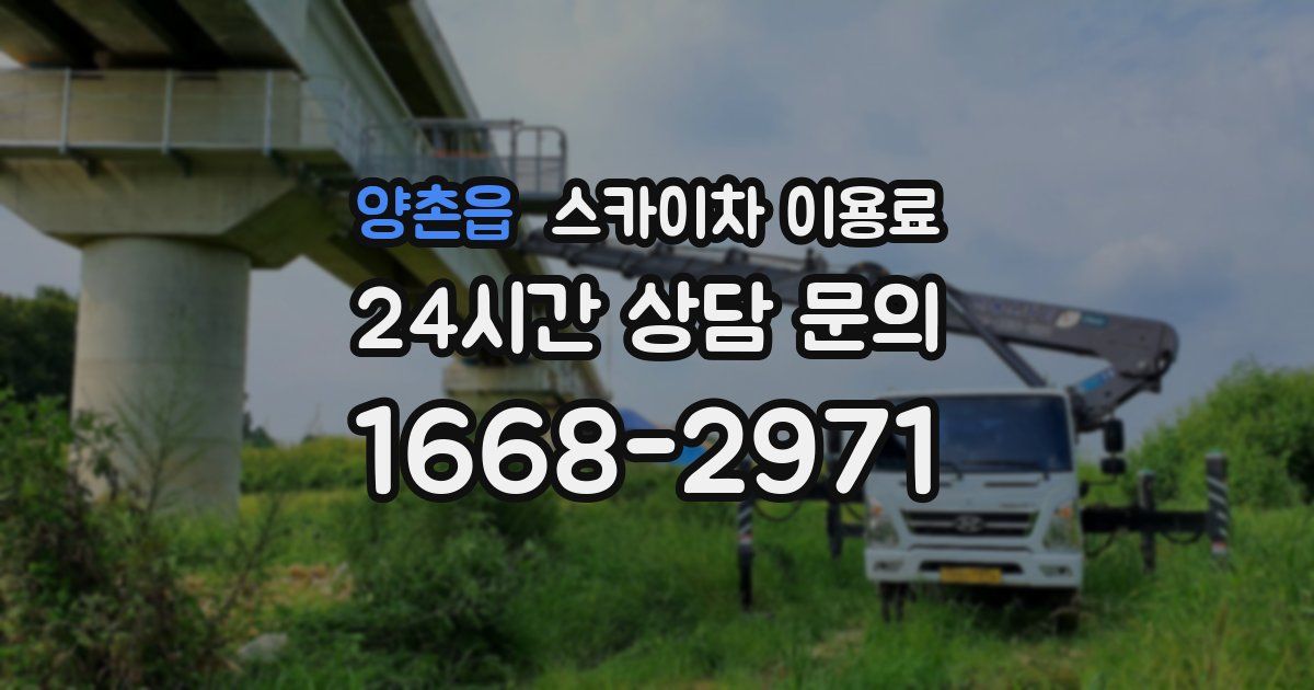 양촌읍 스카이차 이용료