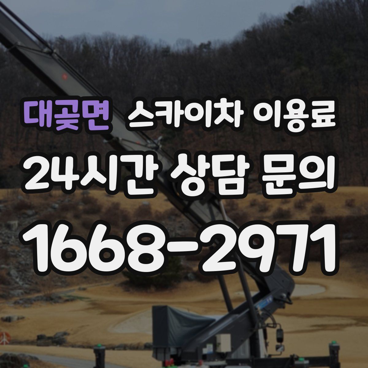 대곶면 스카이차 이용료