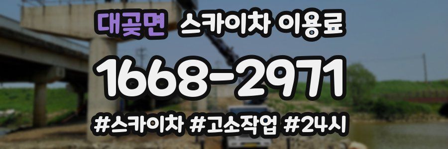대곶면 스카이차 이용료