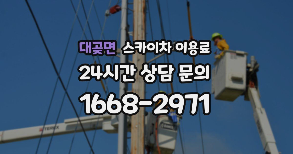 대곶면 스카이차 이용료