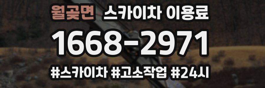 월곶면 스카이차 이용료
