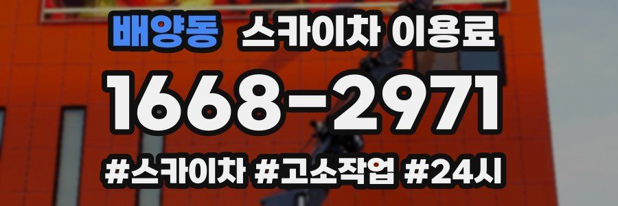 배양동 스카이차 이용료