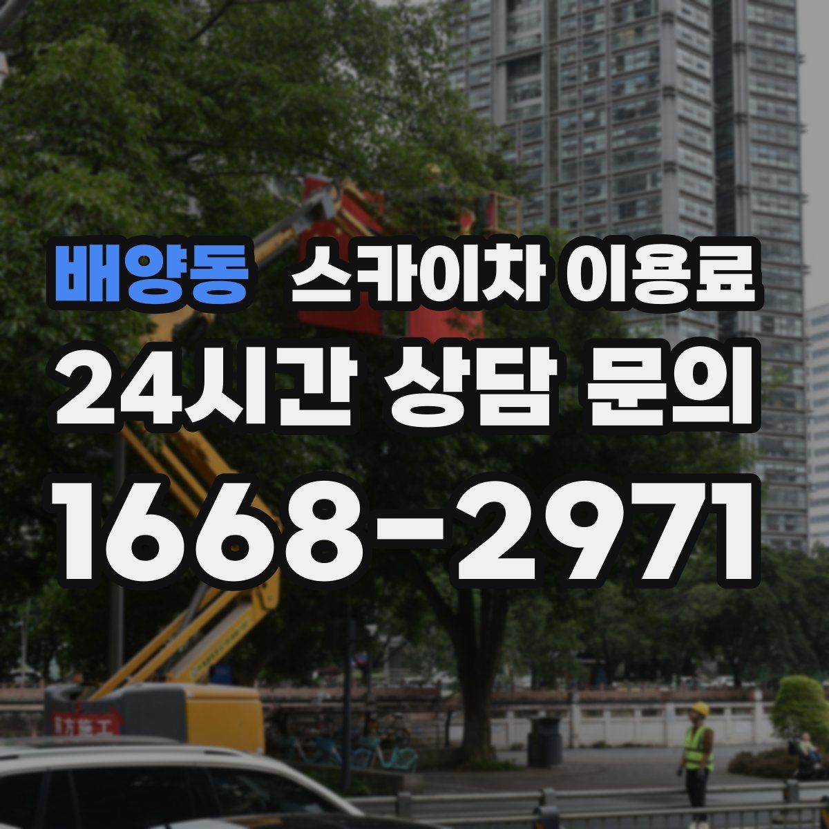 배양동 스카이차 이용료
