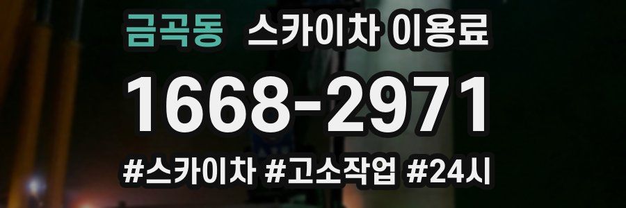 금곡동 스카이차 이용료