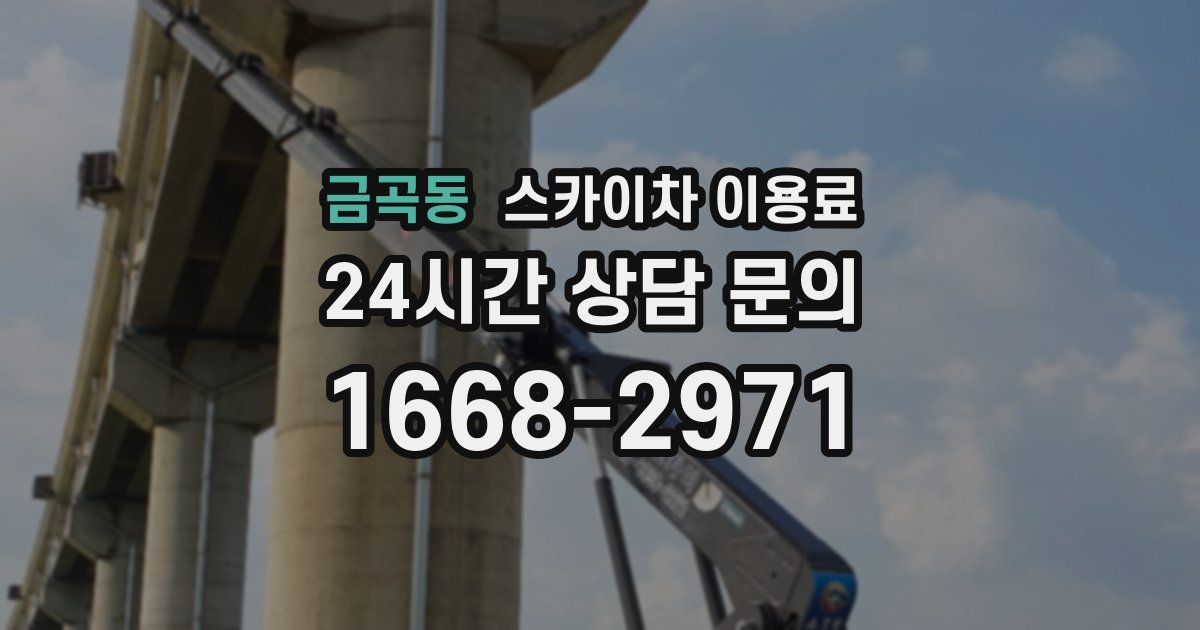 금곡동 스카이차 이용료