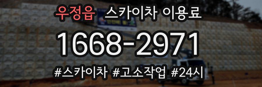 우정읍 스카이차 이용료