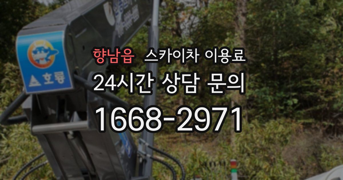 향남읍 스카이차 이용료